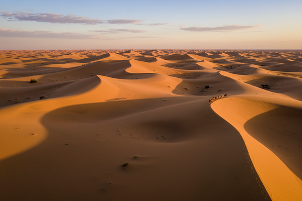 Merzouga Desert Guide 2026 – Sahara Dunes, Camel Treks & Everything You Need to Know