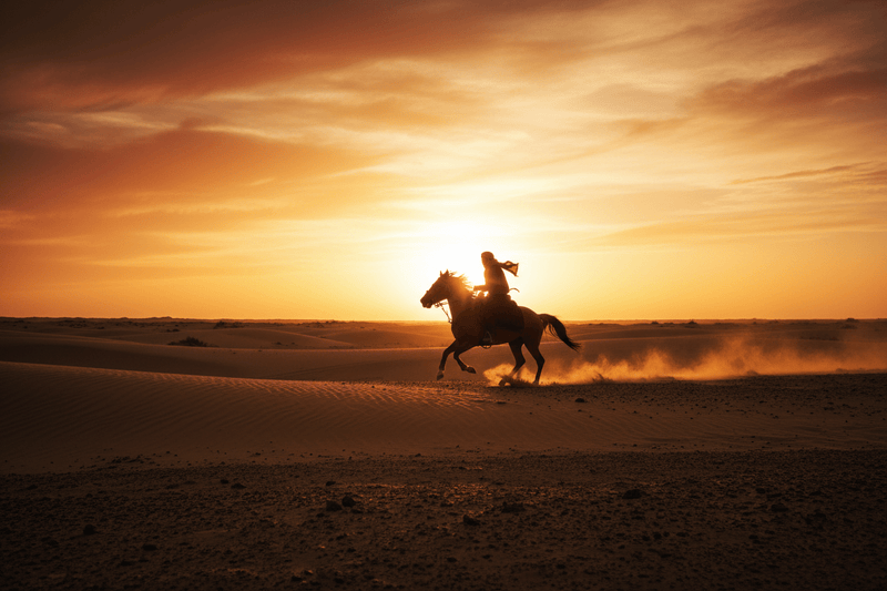 Horse riding at sunset through Agafay rocky desert – Marrakech Day Trip
