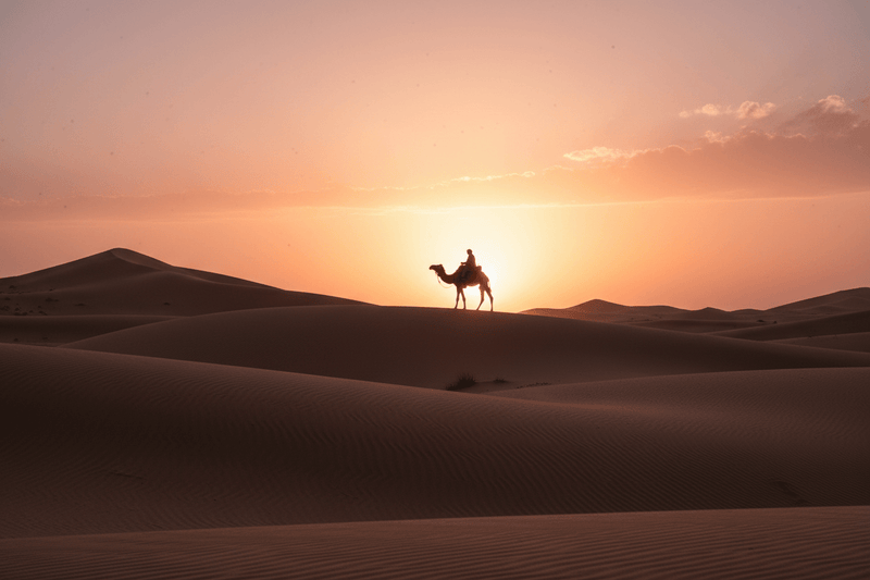 Silhouette of camel rider at sunset in Sahara Desert, Morocco tour experience