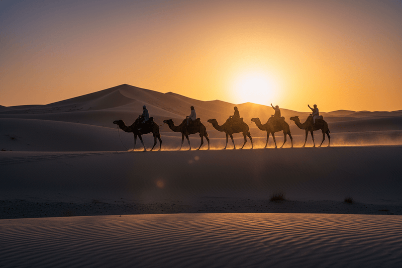 Camel caravan at sunset in Moroccan desert, Sahara tour experience